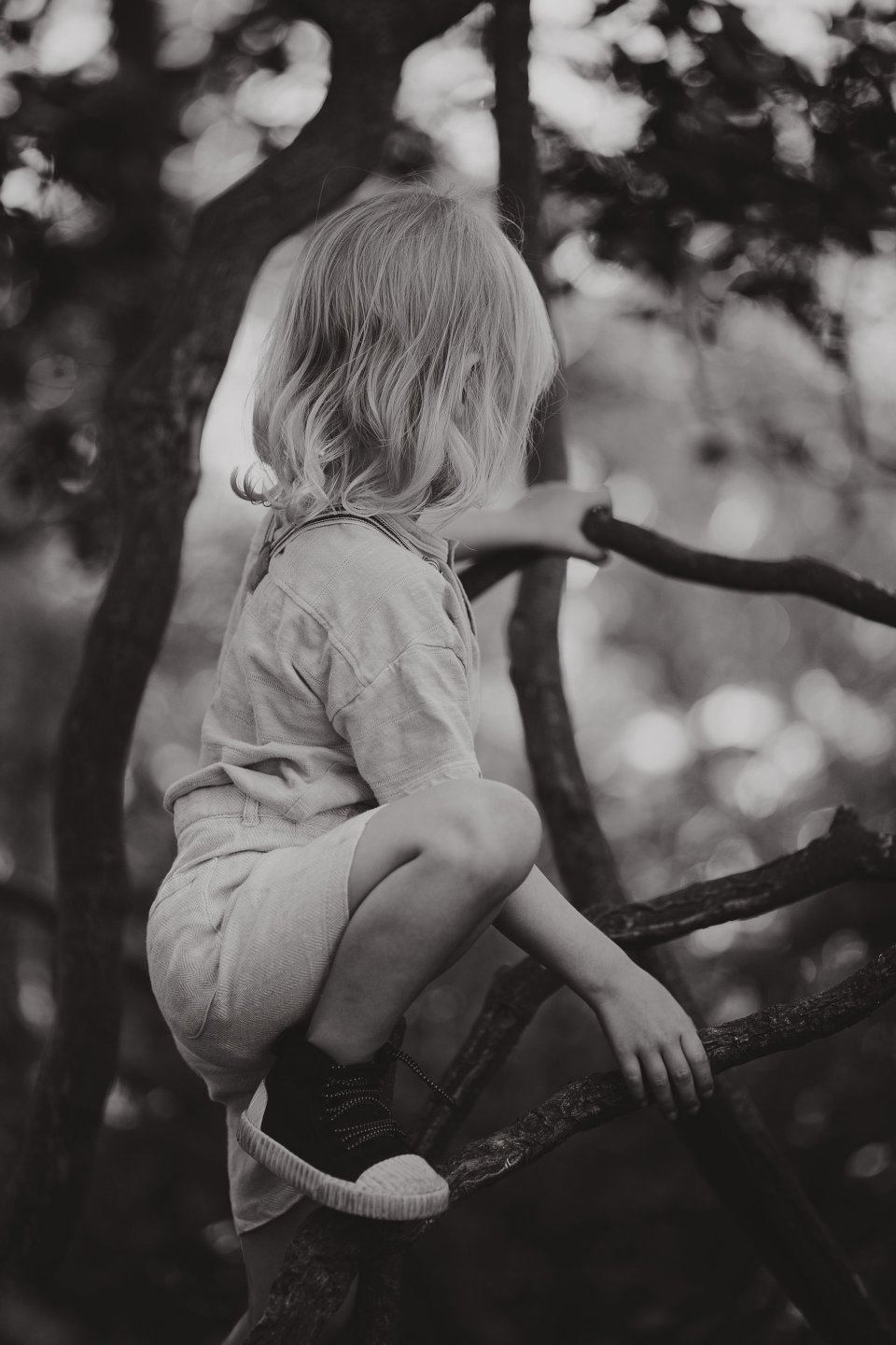 Black and white photo of a child climbing a tree branch in casual clothing.