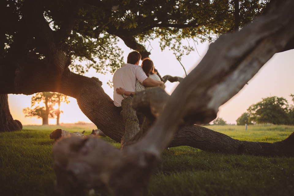 Couple sitting together on a large tree branch at sunset with golden light filtering through leaves.